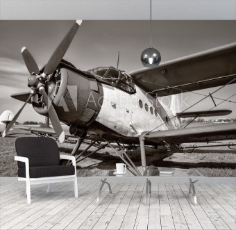 Bild på Vintage biplane